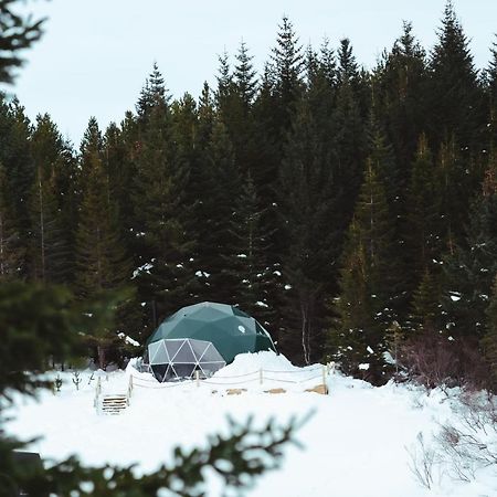 Hotel Golden Circle Domes - Glamping Experience Selfoss Exterior foto