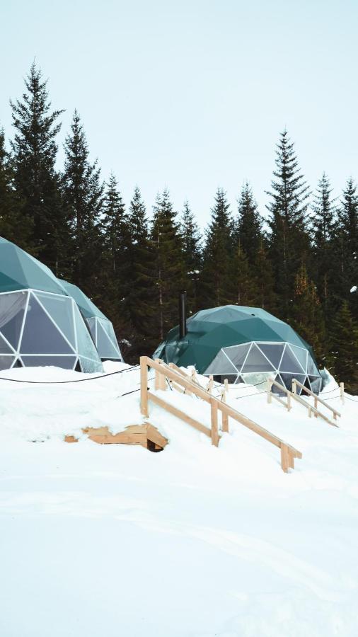 Hotel Golden Circle Domes - Glamping Experience Selfoss Exterior foto